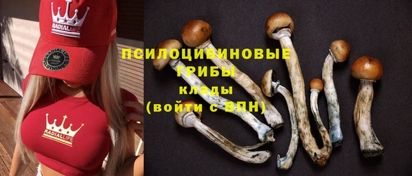 прущие крисы Аркадак