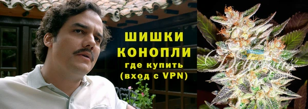 прущие крисы Аркадак